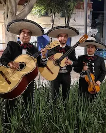 Mariachis
